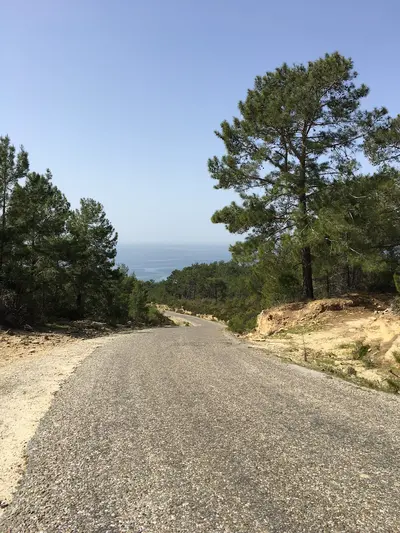 Scenic Road Leading to Breathtaking Sea View Property. A winding, gravel road descends through a natural landscape with lush pine trees, offering a stunning distant view of the calm blue sea under a clear sky.