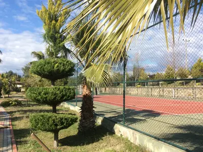 Vibrant Outdoor Tennis Court and Green Landscaped Grounds. An outdoor recreational area featuring a red and green tennis court enclosed by a fence. Lush palm trees and manicured bushes frame the foreground under a bright blue sky.