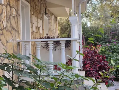 Charming Stone Clad Exterior with Lush Garden View. The exterior of a charming stone-clad building, featuring a white balustrade railing and a vibrant, lush garden. This traditional property offers a beautiful natural setting.
