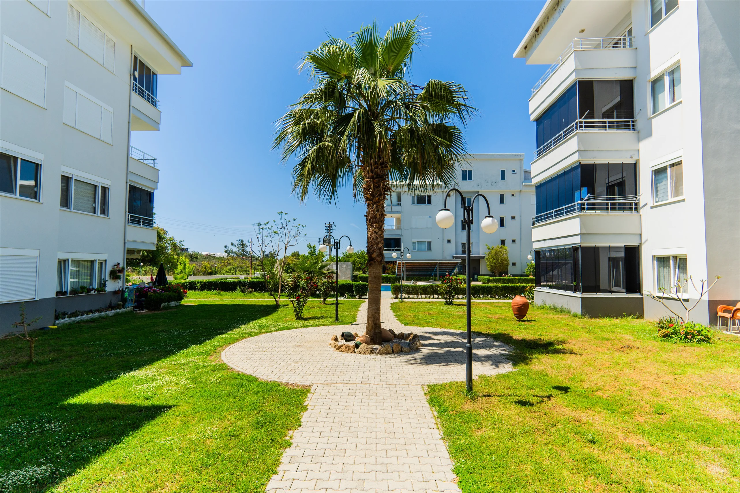 منطقة حديقة سكنية جميلة مع شجرة نخيل. منطقة حديقة خارجية مشتركة مع عشب أخضر نابض بالحياة وممرات مرصوفة تؤدي إلى مباني شقق حديثة بيضاء. تتميز بشجرة نخيل بارزة وأعمدة إنارة وطقس مشمس.