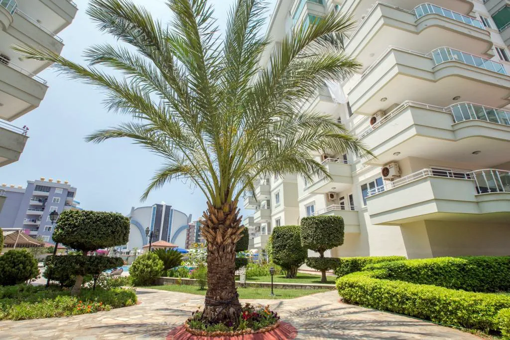 حديقة شقة وارفة مع نخلة وهندسة معمارية حديثة. حديقة خارجية نابضة بالحياة تضم نخلة طويلة، وشجيرات مشذبة، وممرًا حجريًا. توفر مباني الشقق الحديثة ذات الشرفات مساحة معيشة خارجية مشمسة ومصانة جيدًا.